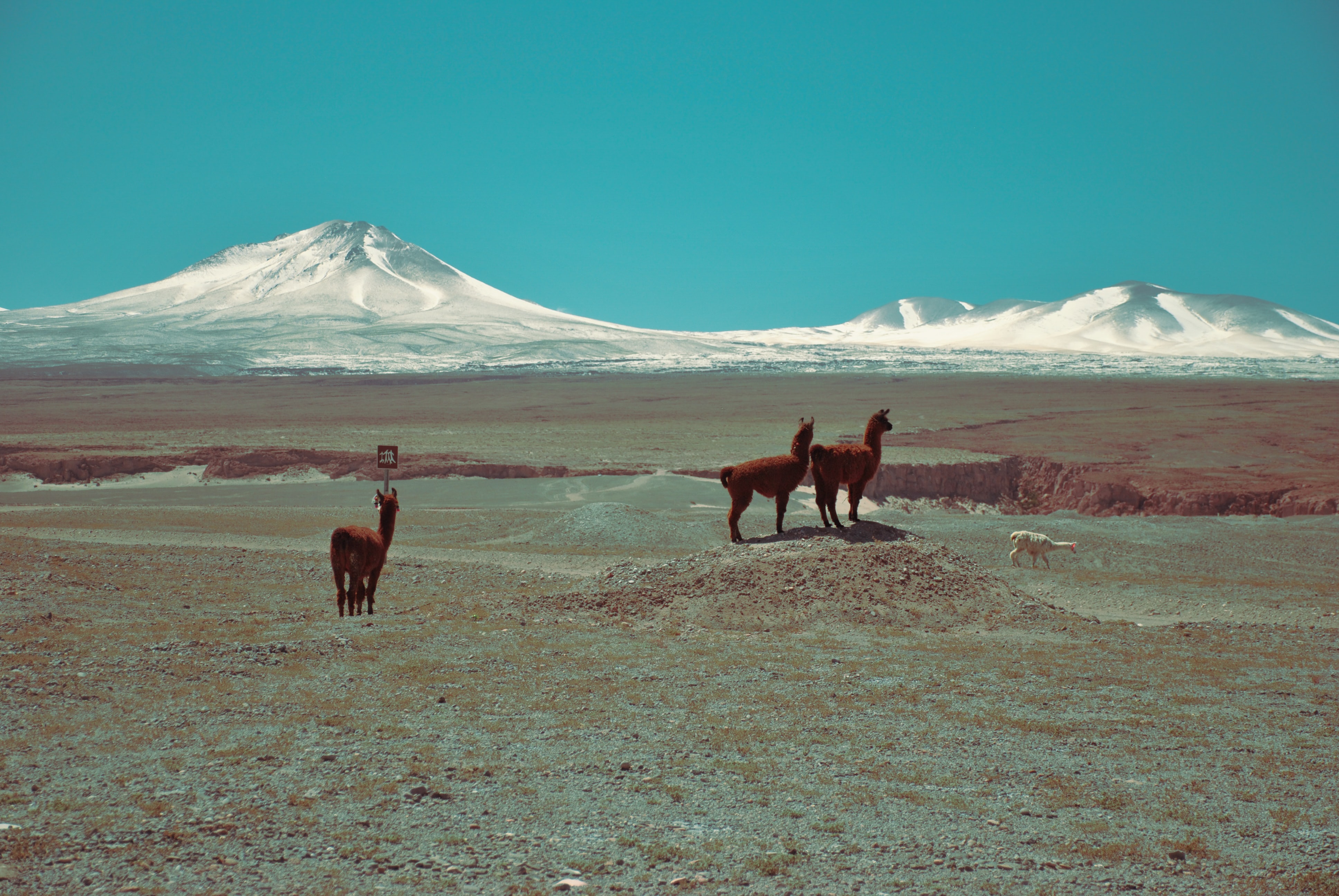 Imagen header 1